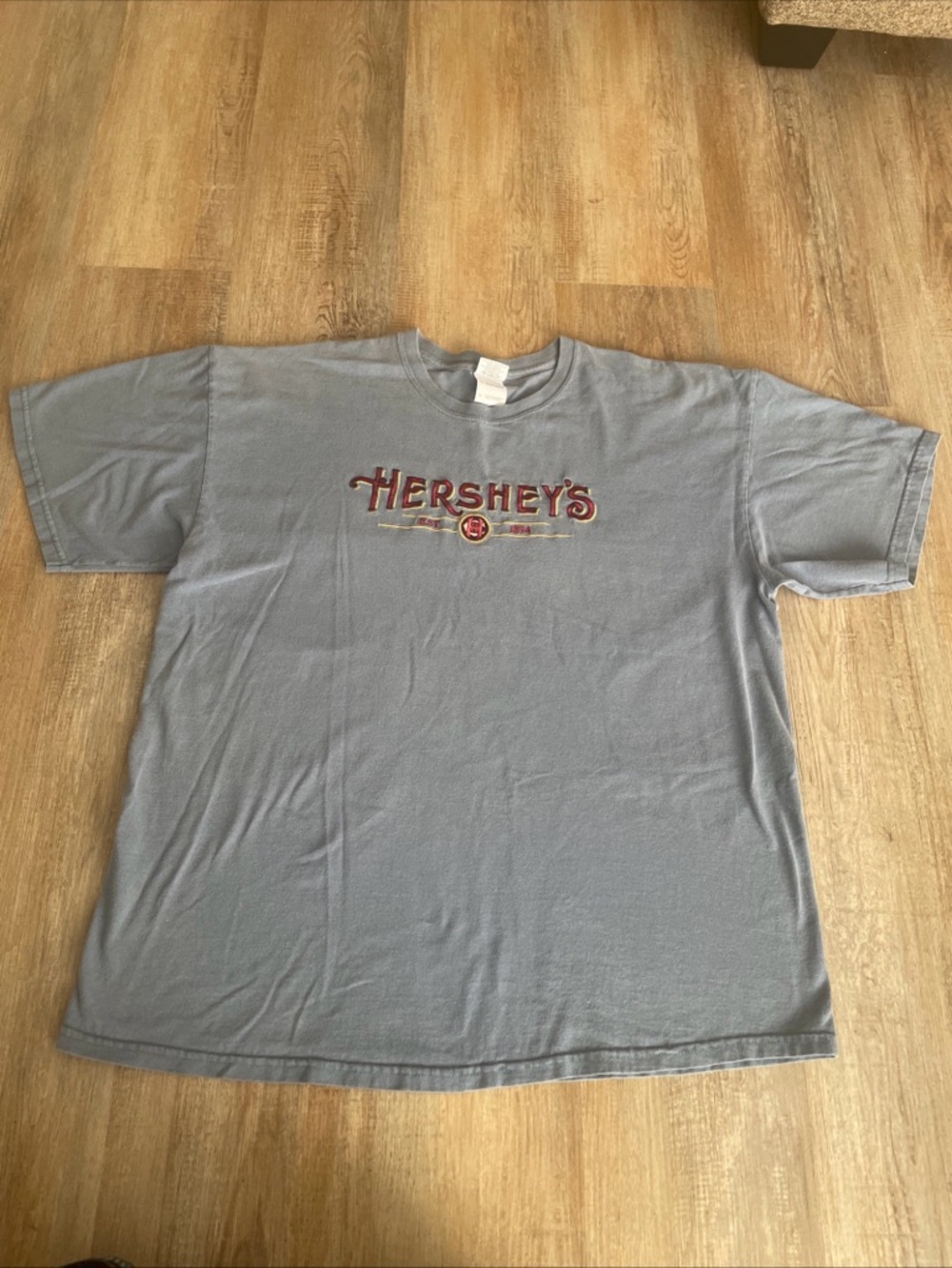 Vintage Y2K Hershey's Gildan T-Shirt Mens XL Blue Embroidered Candy Graphic